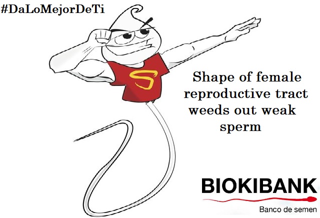Super Sperm