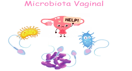 Microbiota vaginal