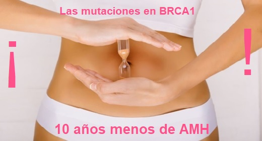 BRCA Y AMH