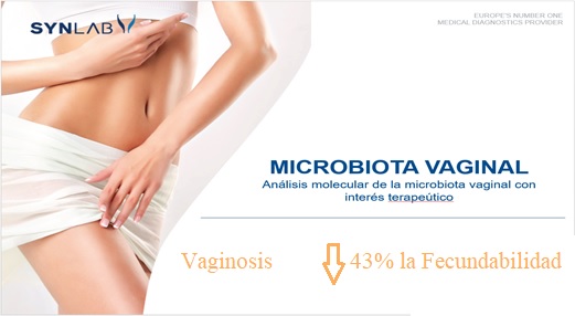 Microbiota Vaginal